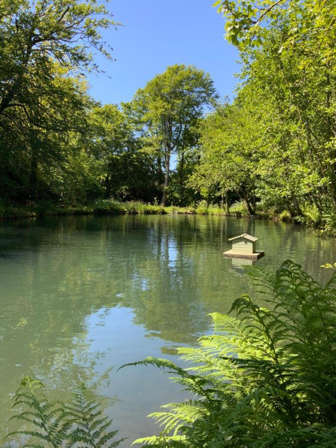 Red River Stables - Peaceful, Beautiful Grounds, Swimming Pool, Central Location For West Cornwall Camborne Exterior photo